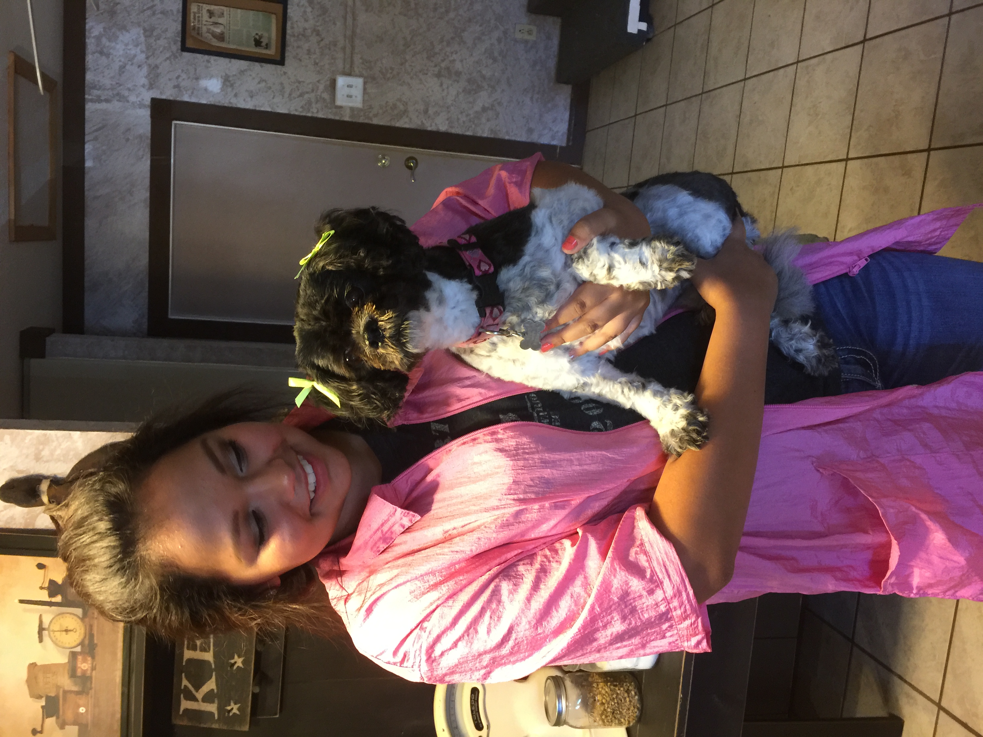 Professional dog grooming - beautiful results