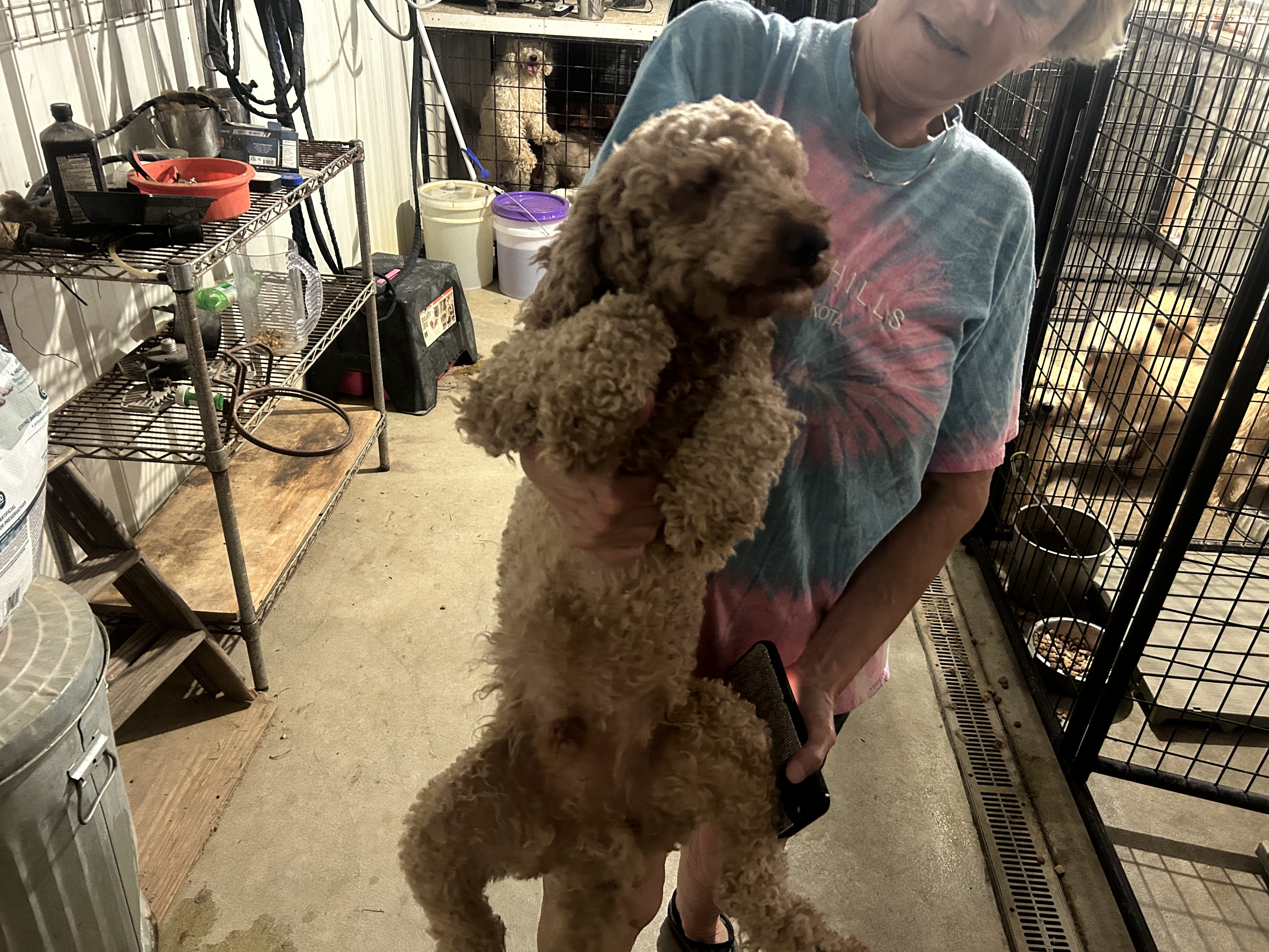 Tucker